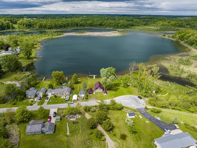 3050 Thorpe Dr, Delton, MI 49046 - aerial view of property's location with a nearby body of water and a forest