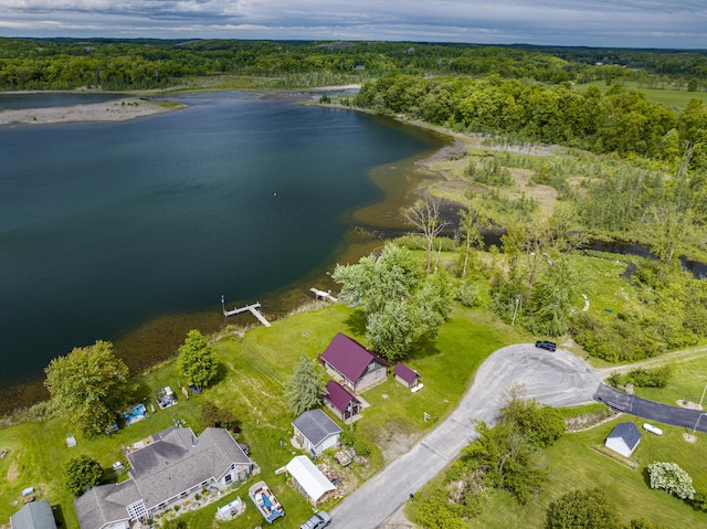 3050 Thorpe Dr, Delton, MI 49046 - aerial overview of property's location featuring a nearby body of water and a forest