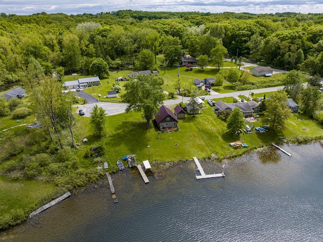 3050 Thorpe Dr, Delton, MI 49046 - aerial overview of property's location with a forest and a large body of water