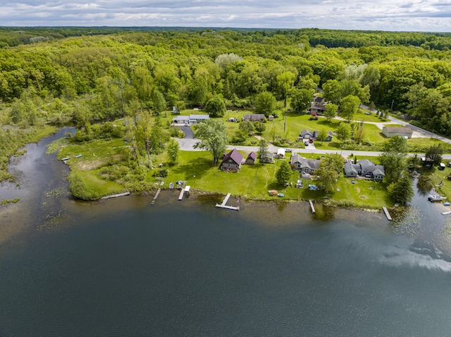 3050 Thorpe Dr, Delton, MI 49046 - aerial overview of property's location with a heavily wooded area and a nearby body of water
