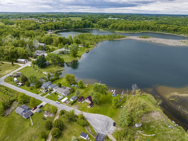 3050 Thorpe Dr, Delton, MI 49046 - view of property location featuring a nearby body of water and a heavily wooded area