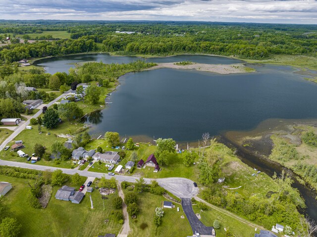 3050 Thorpe Dr, Delton, MI 49046 - aerial overview of property's location featuring a large body of water and a forest