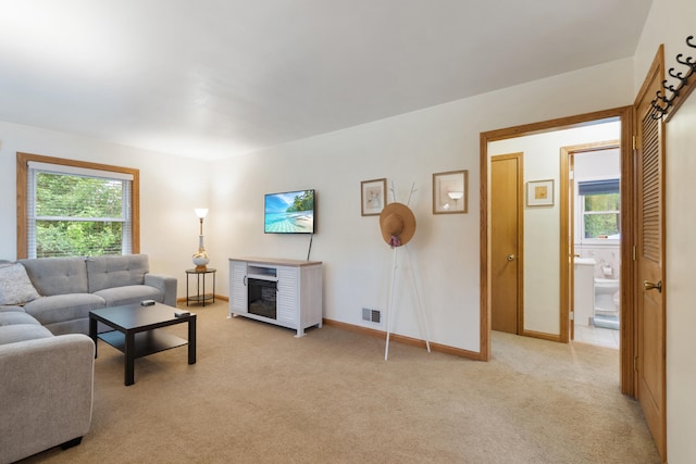 210 E Palmer Ave, Jackson, MI 49203 - living room featuring plenty of natural light, light colored carpet, baseboards, and a glass covered fireplace
