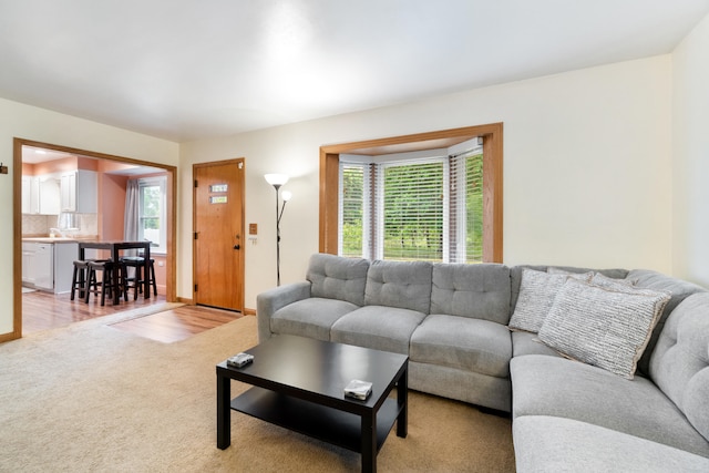 210 E Palmer Ave, Jackson, MI 49203 - living area with healthy amount of natural light and light carpet