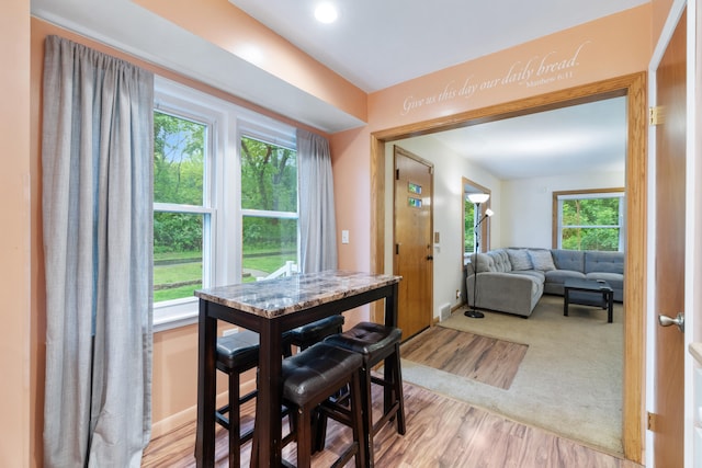 210 E Palmer Ave, Jackson, MI 49203 - dining area with baseboards and wood finished floors