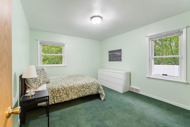 210 E Palmer Ave, Jackson, MI 49203 - bedroom featuring carpet floors, multiple windows, and baseboards