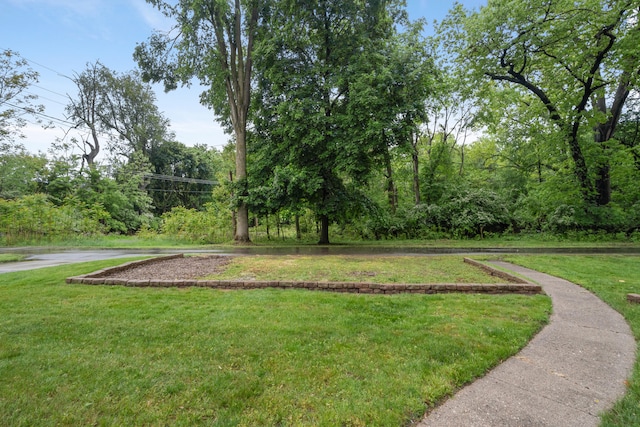 210 E Palmer Ave, Jackson, MI 49203 - view of community with a lawn