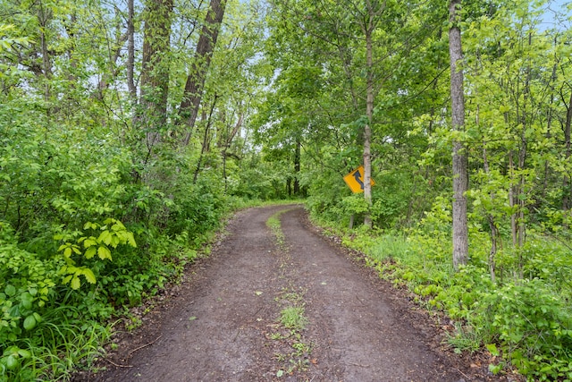 2141 N Parker Rd, Dexter, MI 48130 - view of dirt / gravel road featuring a forest view