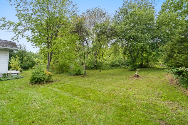 2141 N Parker Rd, Dexter, MI 48130 - view of green lawn
