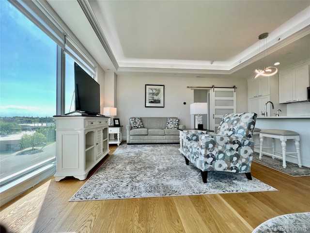 201 Beers St Unit 44, Port Huron, MI 48060 - living room featuring a raised ceiling, a barn door, and wood finished floors