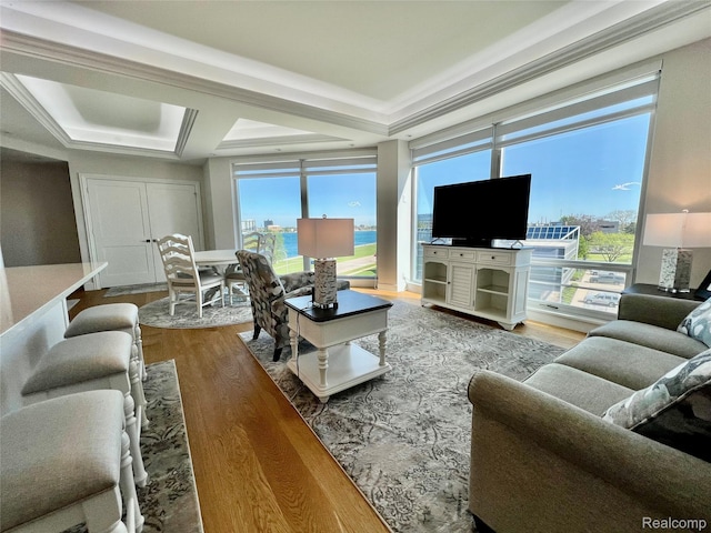 201 Beers St Unit 44, Port Huron, MI 48060 - living area featuring a raised ceiling, wood finished floors, healthy amount of natural light, and crown molding