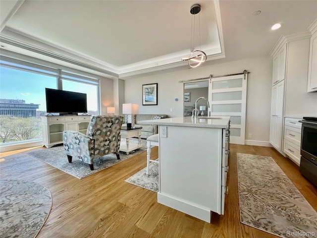 201 Beers St Unit 44, Port Huron, MI 48060 - kitchen featuring a barn door, a raised ceiling, a sink, open floor plan, and white cabinetry