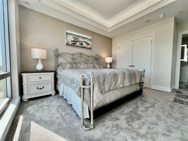 201 Beers St Unit 44, Port Huron, MI 48060 - carpeted bedroom featuring crown molding, a tray ceiling, a closet, and baseboards