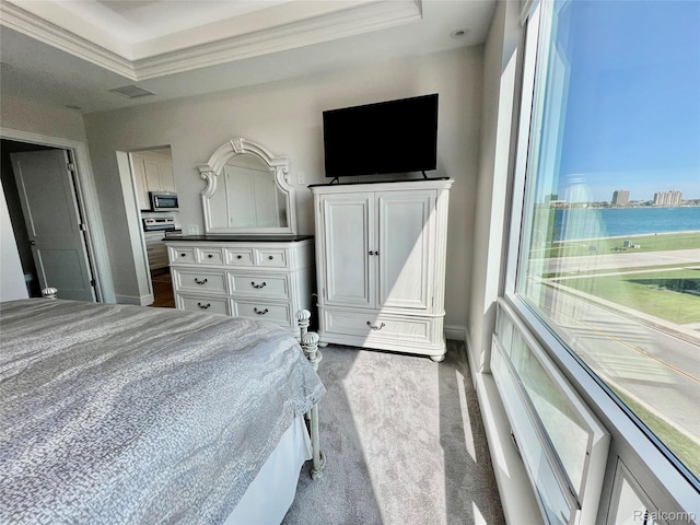 201 Beers St Unit 44, Port Huron, MI 48060 - bedroom with crown molding, carpet flooring, and baseboards