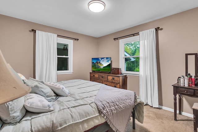 623 Pawnee St, Jackson, MI 49203 - bedroom featuring light colored carpet and baseboards