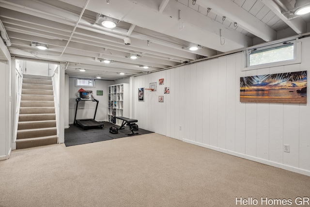 2052 Gorham Dr SE, East Grand Rapids, MI 49506 - workout area featuring healthy amount of natural light and carpet flooring