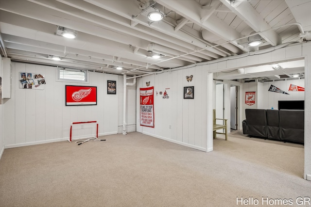 2052 Gorham Dr SE, East Grand Rapids, MI 49506 - basement with carpet flooring