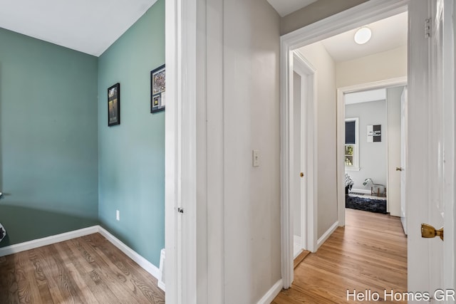 2052 Gorham Dr SE, East Grand Rapids, MI 49506 - corridor with light wood finished floors and baseboards