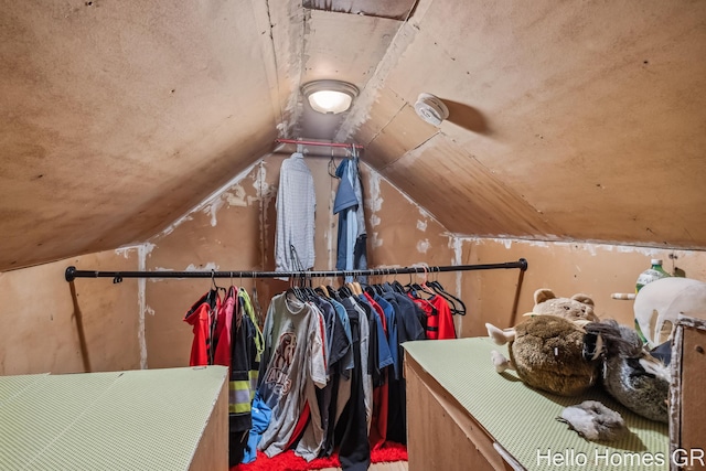 2052 Gorham Dr SE, East Grand Rapids, MI 49506 - spacious closet featuring vaulted ceiling