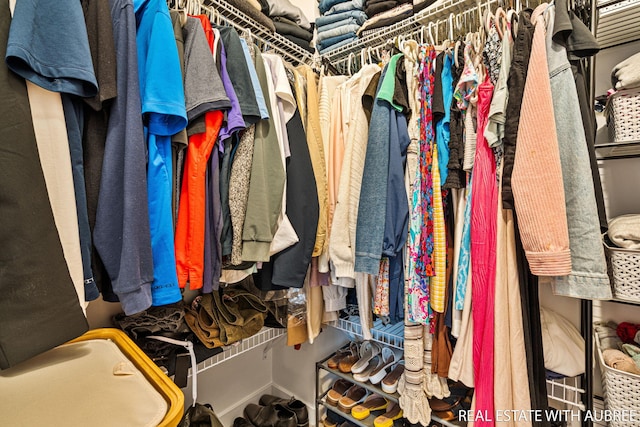 392 Harbor Town Ct Unit 2, Holland, MI 49423 - view of walk in closet