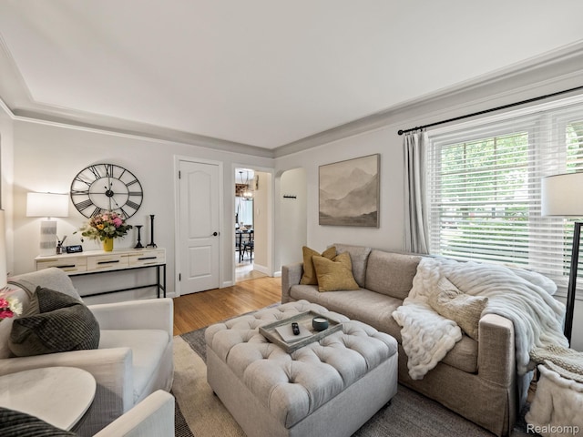 1017 N Connecticut Ave, Royal Oak, MI 48067 - living room with light wood-type flooring and arched walkways