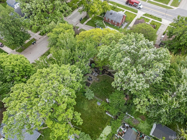 1017 N Connecticut Ave, Royal Oak, MI 48067 - bird's eye view