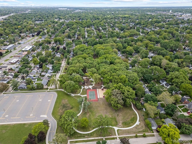 1017 N Connecticut Ave, Royal Oak, MI 48067 - aerial view