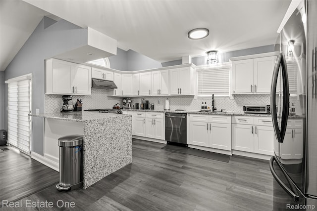 15237 Oceana Ave, Allen Park, MI 48101 - kitchen featuring stainless steel appliances, a sink, a peninsula, white cabinetry, and under cabinet range hood