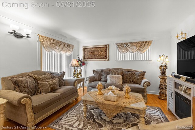 15210 Russell Ave, Allen Park, MI 48101 - living room featuring wood finished floors and a glass covered fireplace