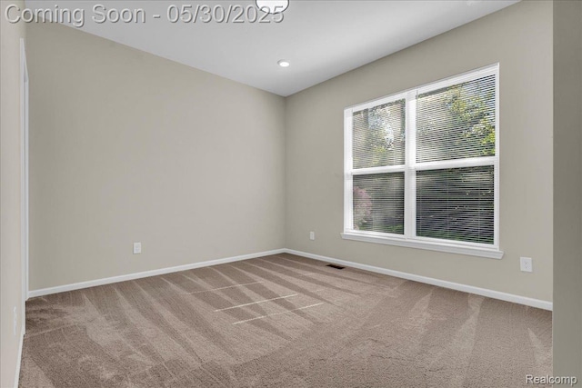 24324 Oak Ridge Blvd, South Lyon, MI 48178 - photo 22