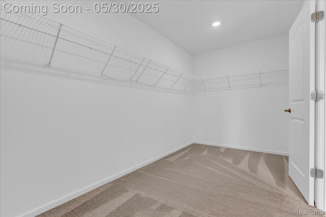 24324 Oak Ridge Blvd, South Lyon, MI 48178 - photo 32