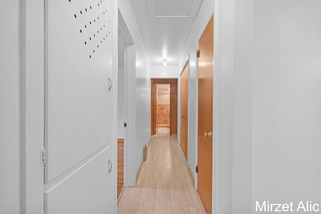 1145 Eastmont Dr SE, Grand Rapids, MI 49546 - hallway with light wood-style flooring