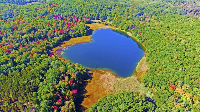 UNIT1 NW Dockery Rd NW, Williamsburg, MI 49690