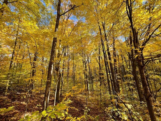 UNIT1 NW Dockery Rd NW, Williamsburg, MI 49690