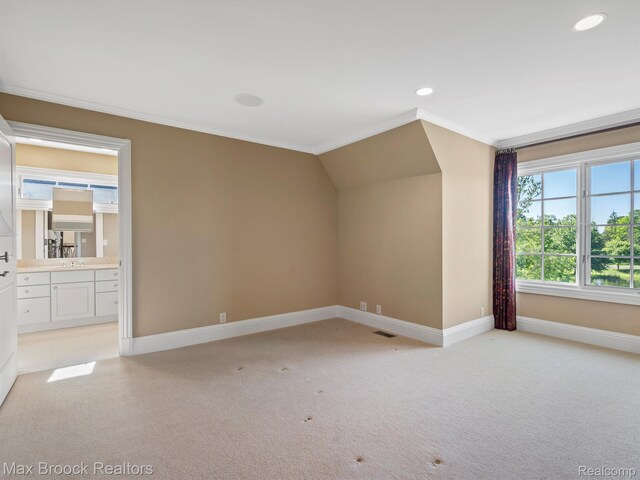 2921 Turtle Pond Ct, Bloomfield Hills, MI 48302 - additional living space featuring light carpet, baseboards, recessed lighting, and a sink