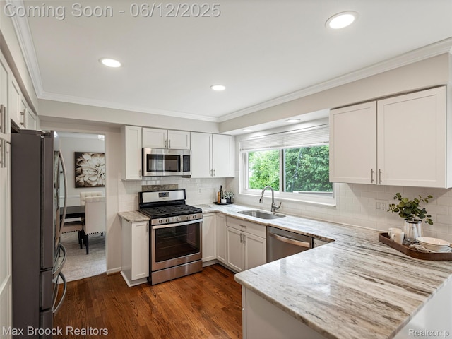 5544 Kingsfield Dr, West Bloomfield, MI 48322 - kitchen with appliances with stainless steel finishes, a sink, crown molding, light stone countertops, and a peninsula