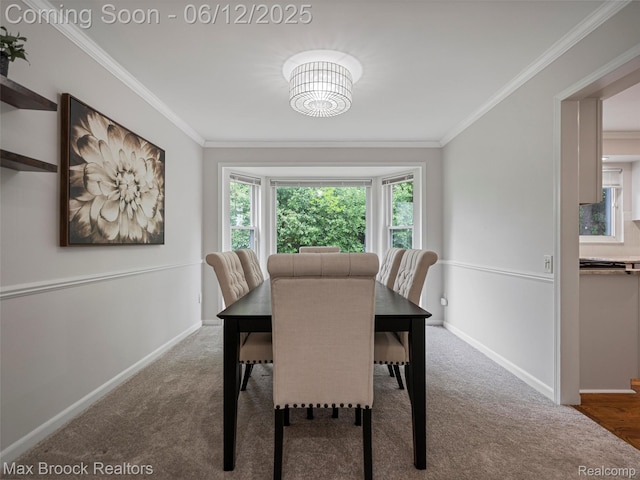 5544 Kingsfield Dr, West Bloomfield, MI 48322 - carpeted dining room featuring ornamental molding, healthy amount of natural light, and baseboards