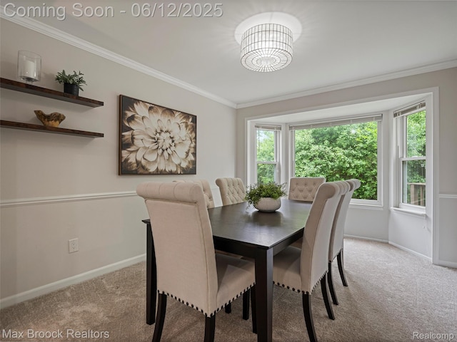 5544 Kingsfield Dr, West Bloomfield, MI 48322 - dining room with carpet, baseboards, crown molding, and a chandelier