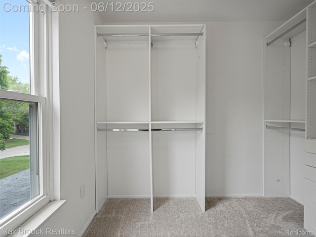 5544 Kingsfield Dr, West Bloomfield, MI 48322 - spacious closet with carpet flooring