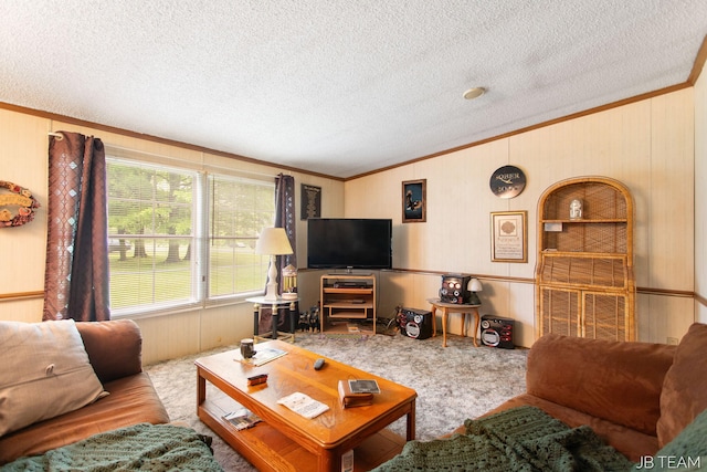 1211 107th Ave, Otsego, MI 49078 - carpeted living area with ornamental molding, a textured ceiling, vaulted ceiling, and wood walls