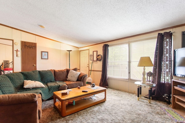 1211 107th Ave, Otsego, MI 49078 - carpeted living room featuring crown molding, vaulted ceiling, a textured ceiling, and wooden walls