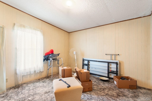 1211 107th Ave, Otsego, MI 49078 - miscellaneous room with crown molding, carpet flooring, and a textured ceiling