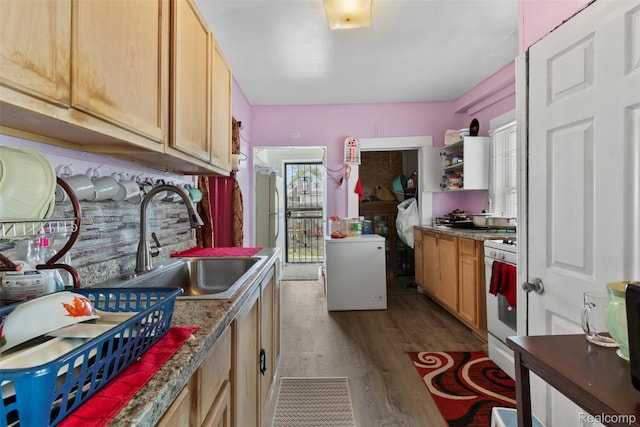 5151 Yemans St, Hamtramck, MI 48212 - kitchen with a sink, dark wood finished floors, and white appliances