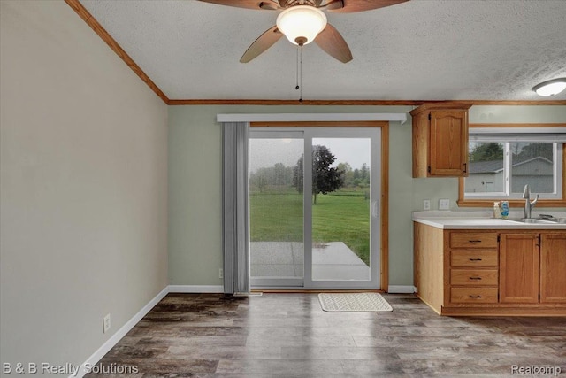 5951 English Rd, Silverwood, MI 48760 - kitchen with a sink, healthy amount of natural light, a textured ceiling, a ceiling fan, and ornamental molding