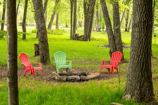 17341 Old Logging Rd, Hersey, MI 49639 - view of green lawn