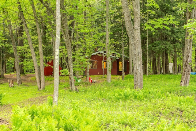 17341 Old Logging Rd, Hersey, MI 49639 - view of yard featuring an outdoor structure and a forest view