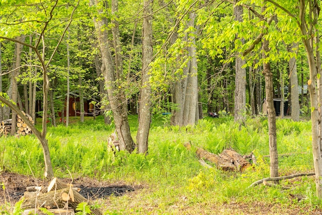 17341 Old Logging Rd, Hersey, MI 49639 - view of undeveloped land