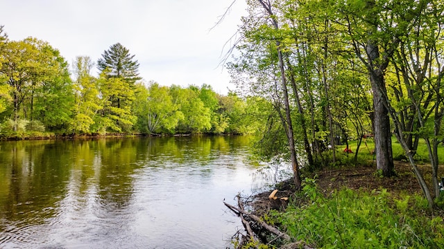 17341 Old Logging Rd, Hersey, MI 49639 - water view