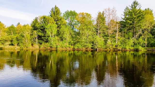 17341 Old Logging Rd, Hersey, MI 49639 - water view featuring a heavily wooded area