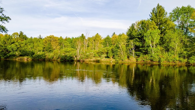 17341 Old Logging Rd, Hersey, MI 49639 - water view featuring a heavily wooded area